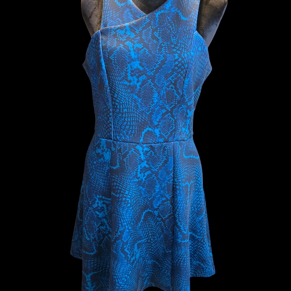 Blue Snake Print Dress